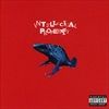 INTELLECTUAL-PROPERTY-0-CD
