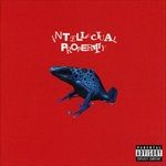 INTELLECTUAL-PROPERTY-0-CD