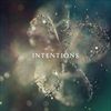 INTENTIONS-67-Vinyl