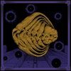 ITERATIONS-7-CD