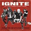 Ignite-black-LPCD-34-Vinyl