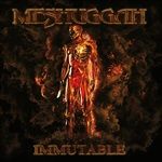 ImmutableOrange-Colored-Circle-Black-Vinyl-20-Vinyl