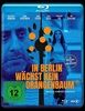 In-Berlin-waechst-kein-Orangenbaum-283-Blu-ray-D