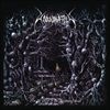 In-The-Forest-Of-The-Dreaming-Dead-Reissue-2021-9-Vinyl