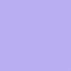 In-meiner-Bluete-ltd-Box-Groee-LXL-28-CD