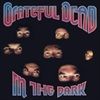 In-the-Dark-2-Vinyl