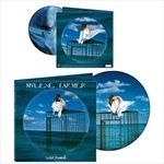 Innamoramento-Picture-Disc-Vinyl-1-Vinyl