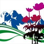 International-1396-CD