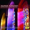 JAUCHZET-FROHLOCKET-WEIHNACHTSLIEDER-3414-CD