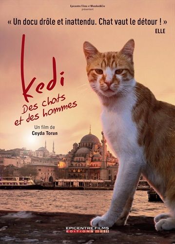 commandez maintenant!