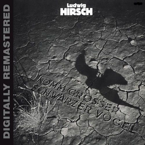 commandez maintenant!