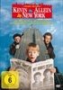 Kevin-Allein-in-New-York-2174-