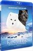 Kina-Yuk-Renards-de-la-Banquise-Blu-ray-F