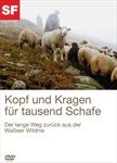 Kopf-und-Kragen-fuer-tausend-Schafe-1526-DVD-D