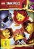 LEGO-Ninjago-Staffel-165-DVD-D