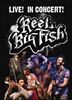 LIVE-IN-CONCERT-7921-DVD