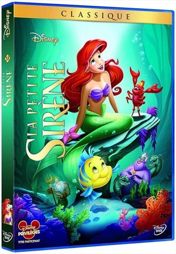 commandez maintenant!