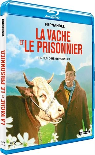 commandez maintenant!