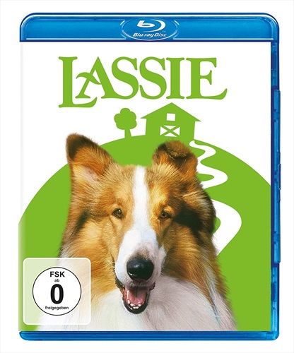 Jetzt bestellen!