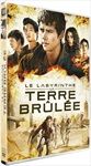 Le-Labyrinthe-La-Terre-Brulee-1620-