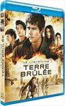 Le-Labyrinthe-La-Terre-Brulee-1621-