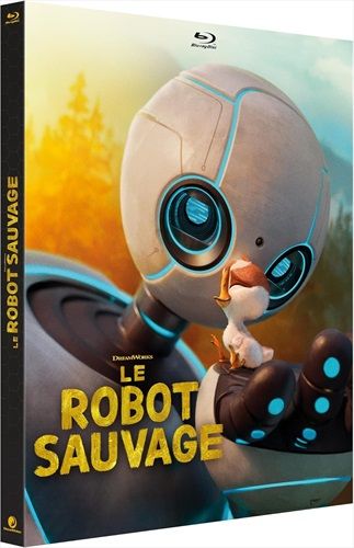 commandez maintenant!