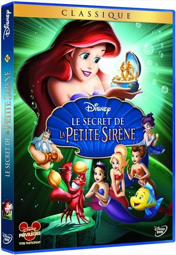 commandez maintenant!