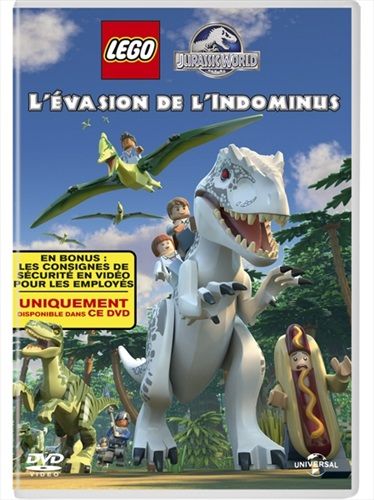 commandez maintenant!