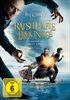 Lemony-Snicket-Raetselhafte-Ereignisse-1588-DVD-D