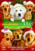 Les-Copains-fetent-Noel-La-Legende-de-Chien-Noel-854-