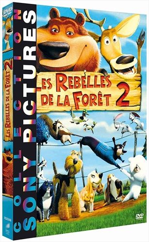 commandez maintenant!