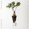 Let-the-Soil-Play-Its-Simple-Part-3-CD