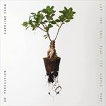 Let-the-Soil-Play-Its-Simple-Part-3-CD