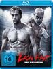 Lion-Fist-Kampf-der-Champions-Blu-ray-D
