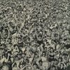 Listen-Without-Prejudice-Vol-1-Remastered-3649-CD