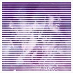 Live-at-Clouds-Hill-108-Vinyl