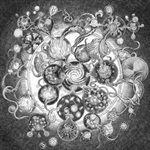 Long-Distance-Calling-13198-CD