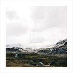 Loss-165-Vinyl