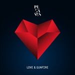Love-Gunfire-14787-CD