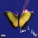Love-is-Like-Ltd-Edition-20-Vinyl