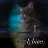 Lybica-11-CD