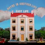MAYBE-IN-ANOTHER-LIFE-LTD-BLUEWHITE-MARBLED-LP-14-Vinyl