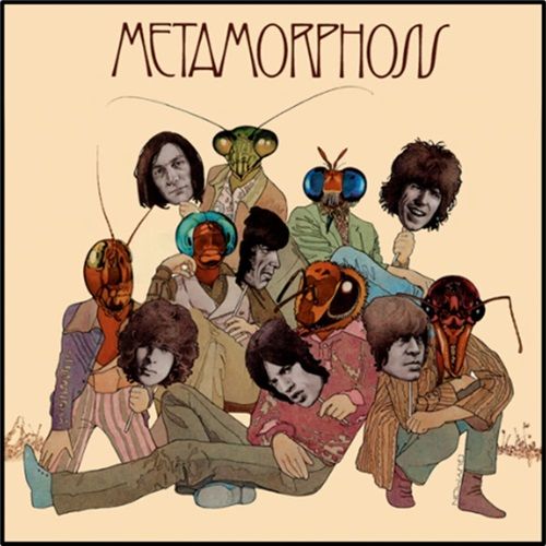 METAMORPHOSIS-VINYL-50-Vinyl