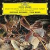 MUST-THE-DEVIL-HAVE-ALL-THE-GOOD-TUNES-LP180G-5163-Vinyl