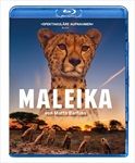 Maleika-Bluray-349-Blu-ray-D