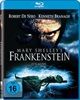 Mary-Shelleys-Frankenstein-3744-Blu-ray-D