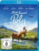 Mein-Freund-Poly-BR-329-Blu-ray-D