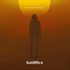 Microchip-temporale-116-Vinyl