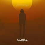 Microchip-temporale-116-Vinyl