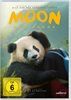 Moon-der-Panda-DVD-D